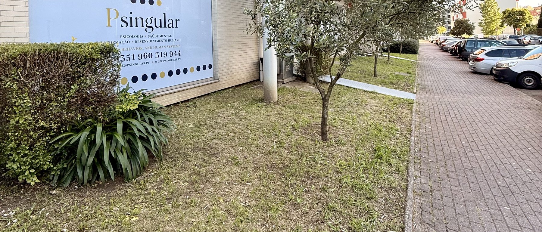 Edifício Psingular — Rua Dr. Carlos Lloyd Braga, Braga